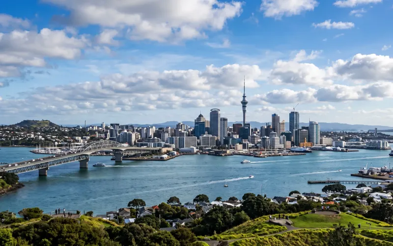 Models in Auckland