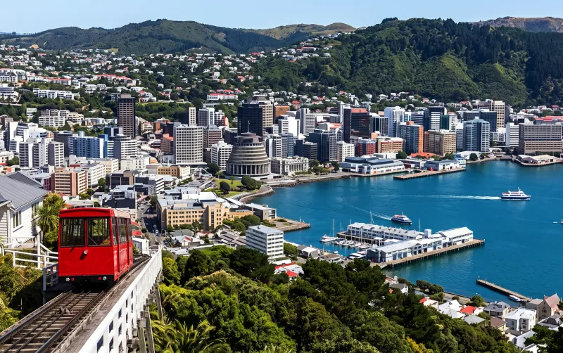 Models in Wellington